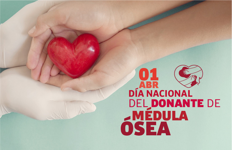 DONACIÓN MÉDULA ÓSEA