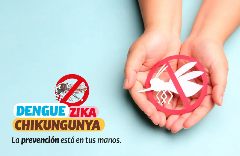 DENGUE 2023